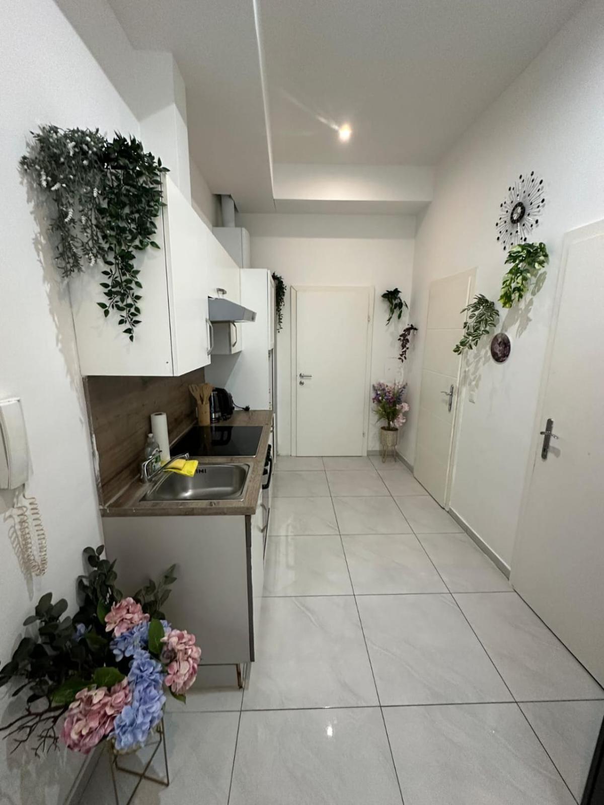 2 Zimmer Nahe Prater Appartement